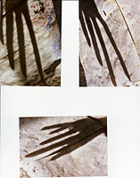 Multiples Evelyn Detterbeck