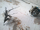 Sputniggs, Skulptur, Evelyn Detterbeck