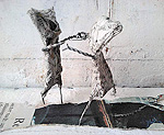 Sputniggs, Skulptur, Evelyn Detterbeck